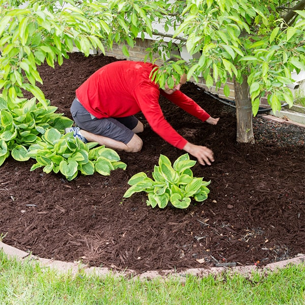 mulch installation may require occasional topping off to maintain its depth and effectiveness